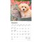 Kittens & Puppies | 2026 7 x 14 Inch (Hanging) Monthly Mini Wall Calendar